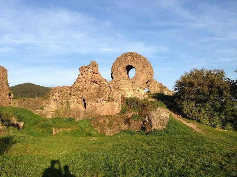 Gite Le Bambou Jama Aspach-le-Haut 外观 照片