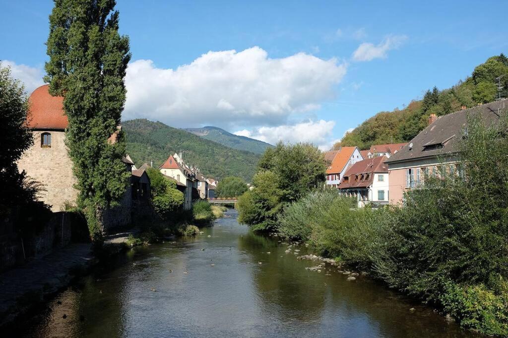 Gite Le Bambou Jama Aspach-le-Haut 外观 照片