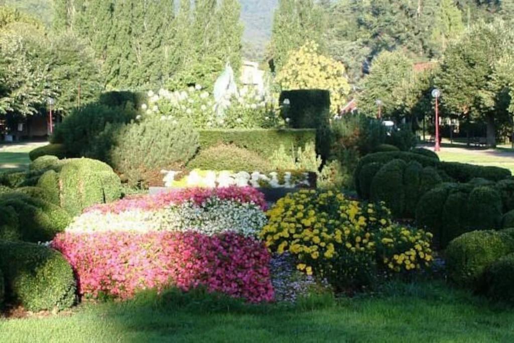 Gite Le Bambou Jama Aspach-le-Haut 外观 照片