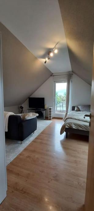 Gite Le Bambou Jama Aspach-le-Haut 外观 照片